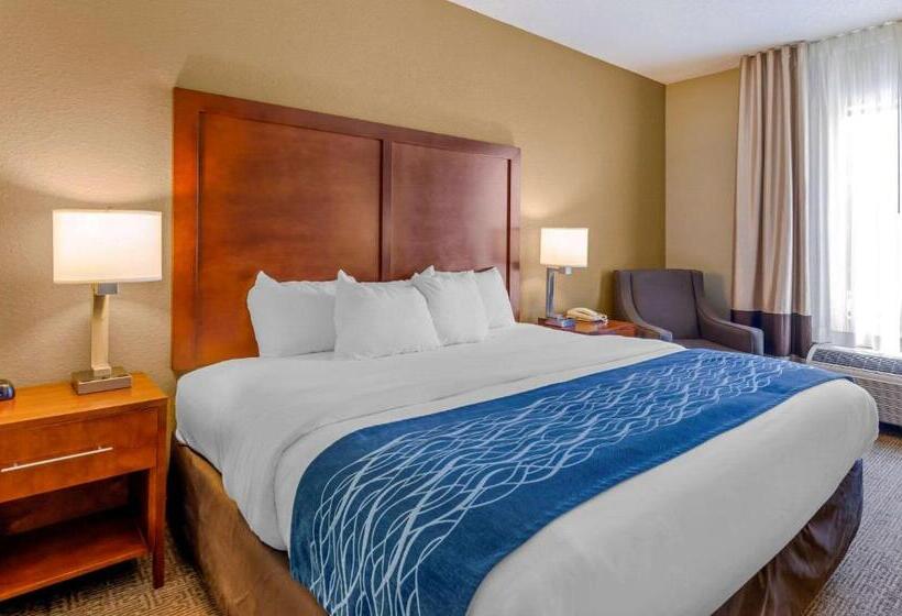 غرفة قياسية سرير كينج, Comfort Inn & Suites Lynchburg Airport   University Area