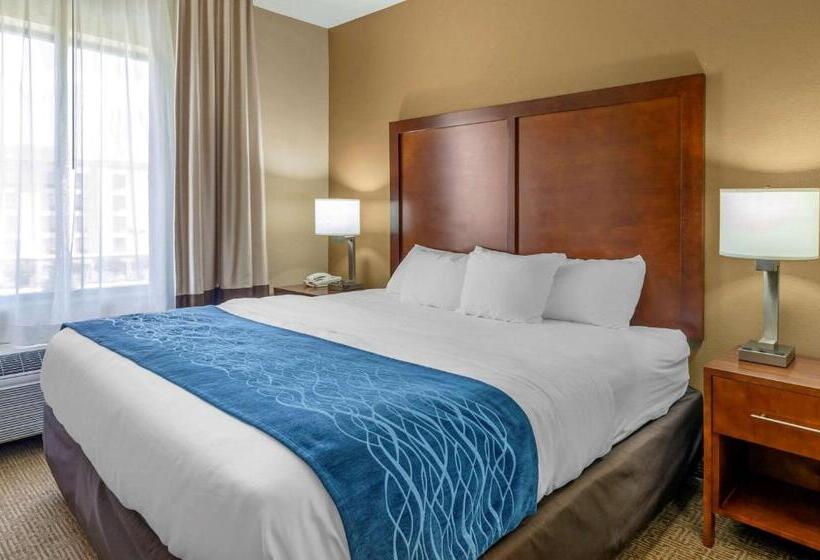 带大床的套房, Comfort Inn & Suites Lynchburg Airport   University Area