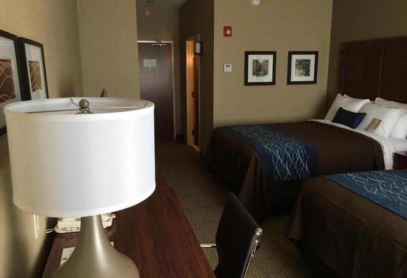 适合残疾人使用的标准间, Comfort Inn & Suites Lynchburg Airport   University Area