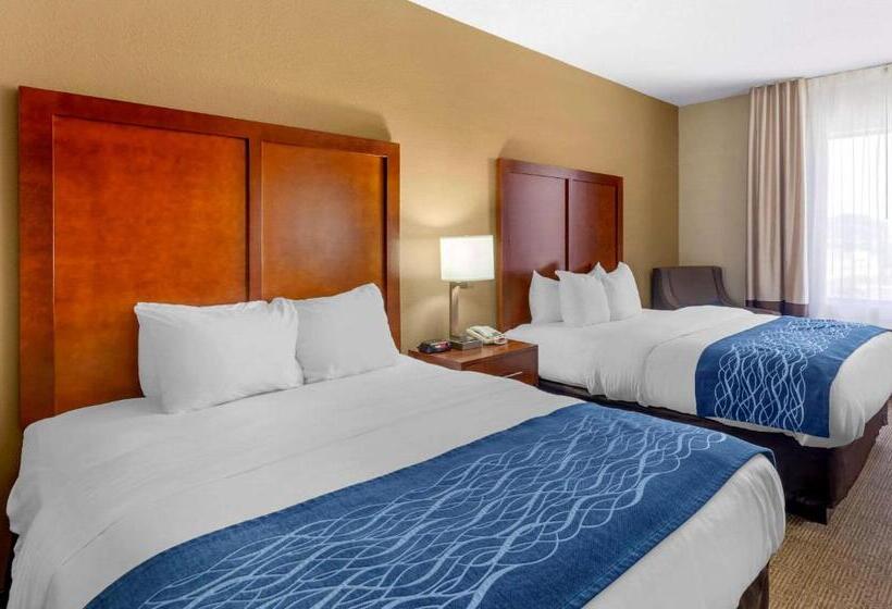 غرفة قياسية لذوى الاحتياجات الخاصة, Comfort Inn & Suites Lynchburg Airport   University Area