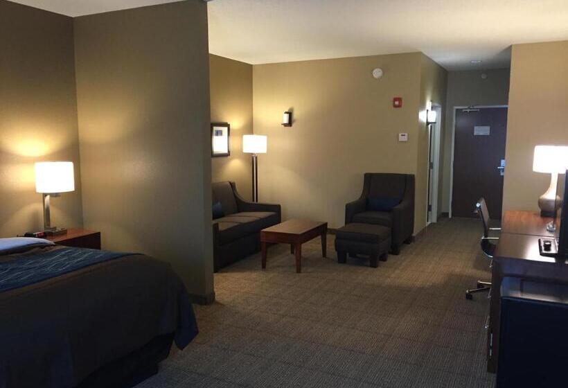 جناح لذوى الاحتياجات الخاصة, Comfort Inn & Suites Lynchburg Airport   University Area