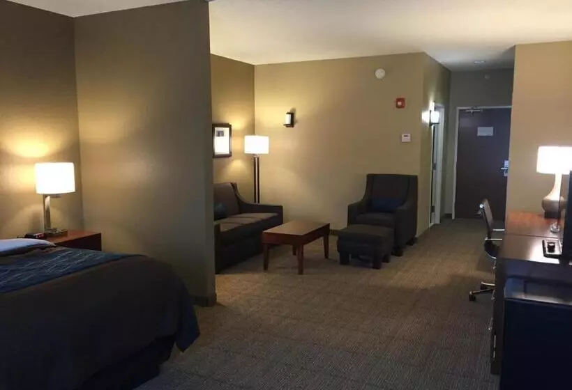 身障者適用スイートルーム, Comfort Inn & Suites Lynchburg Airport   University Area