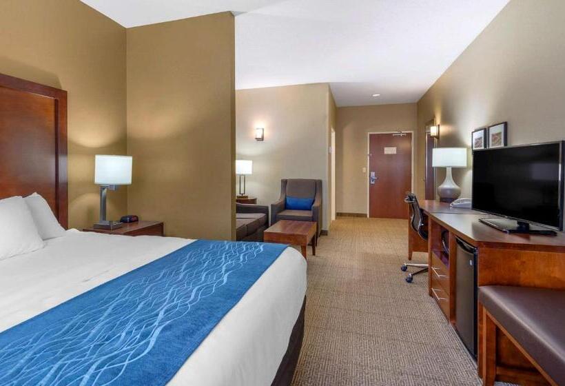 适合残疾人士使用的套间, Comfort Inn & Suites Lynchburg Airport   University Area