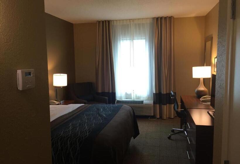 适合残疾人士使用的带超级大床的标准间, Comfort Inn & Suites Lynchburg Airport   University Area