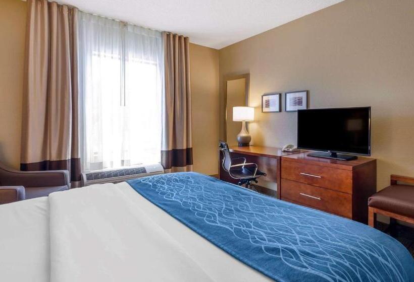 غرفة قياسية سرير كينج لذوى الإحتياجات الخاصة, Comfort Inn & Suites Lynchburg Airport   University Area