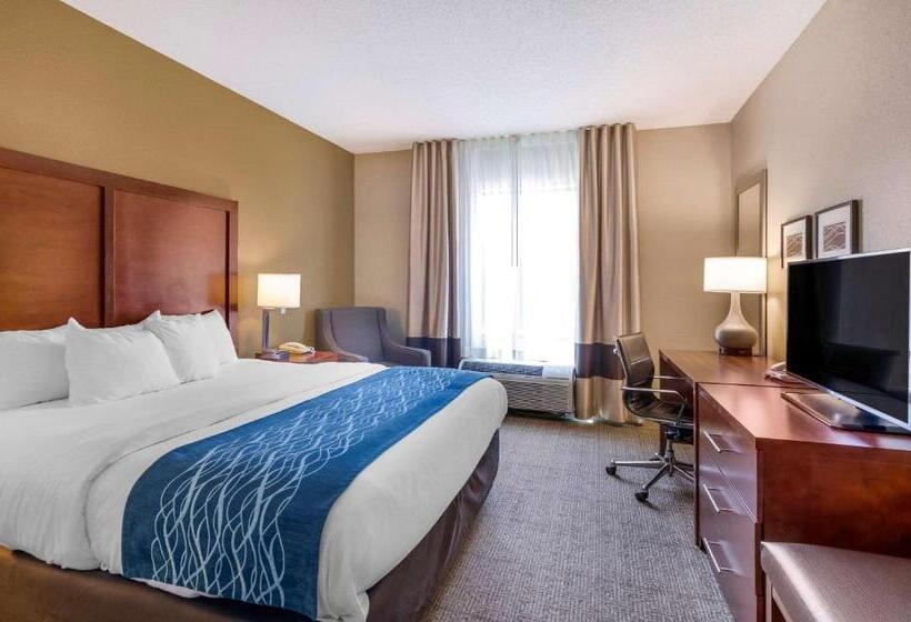 غرفة قياسية سرير كينج لذوى الإحتياجات الخاصة, Comfort Inn & Suites Lynchburg Airport   University Area