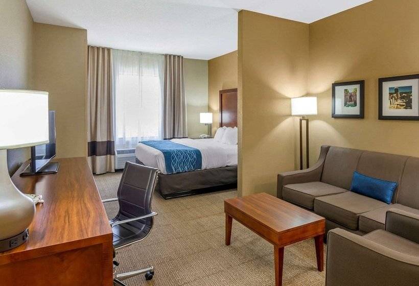 جناح لذوى الاحتياجات الخاصة, Comfort Inn & Suites Lynchburg Airport   University Area