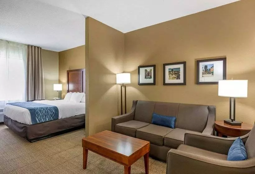 身障者適用スイートルーム, Comfort Inn & Suites Lynchburg Airport   University Area