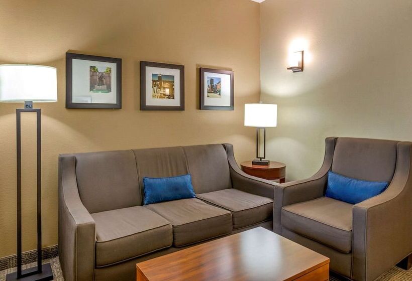 جناح لذوى الاحتياجات الخاصة, Comfort Inn & Suites Lynchburg Airport   University Area