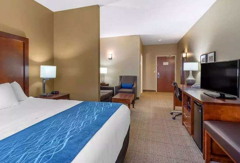 身障者適用スイートルーム, Comfort Inn & Suites Lynchburg Airport   University Area