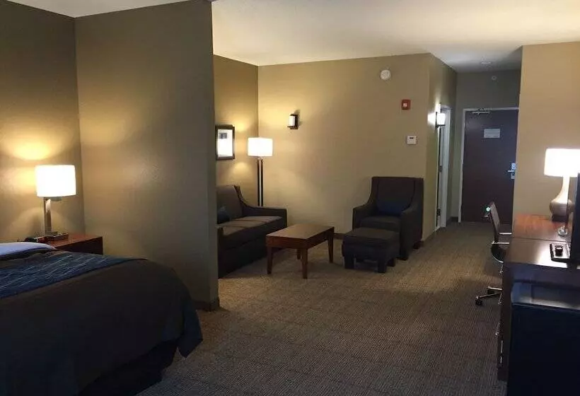 身障者適用スイートルーム, Comfort Inn & Suites Lynchburg Airport   University Area