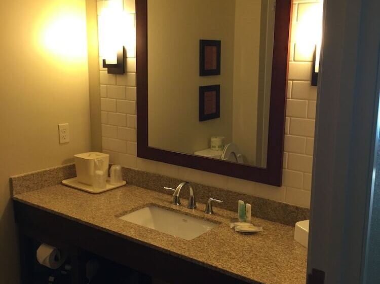 جناح لذوى الاحتياجات الخاصة, Comfort Inn & Suites Lynchburg Airport   University Area