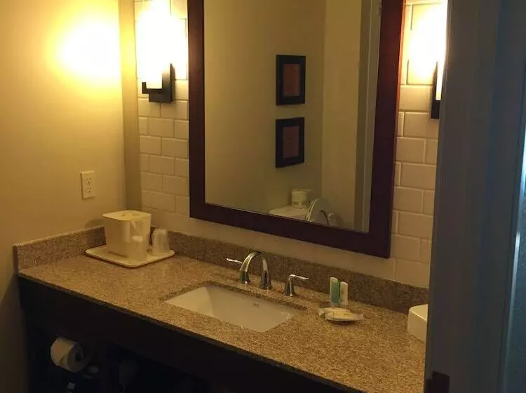 身障者適用スイートルーム, Comfort Inn & Suites Lynchburg Airport   University Area