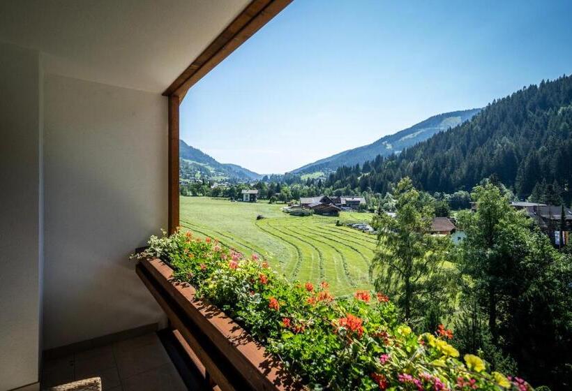 Номер Стандарт Вид на Горы, Otp Birkenhof