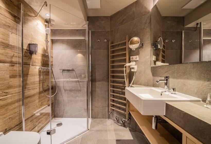 Номер Стандарт Вид на Горы, Otp Birkenhof