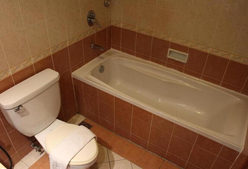 اتاق لوکس با تخت بزرگ, Parkview