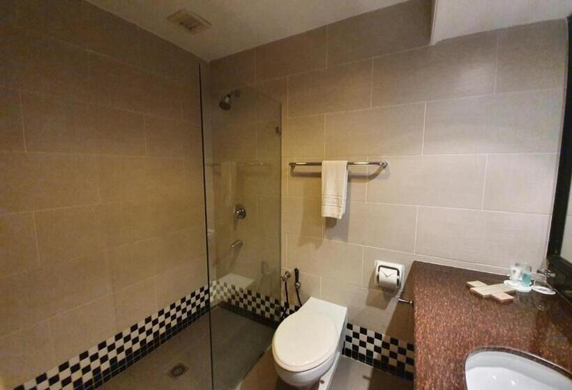 اتاق لوکس با تخت بزرگ, Parkview