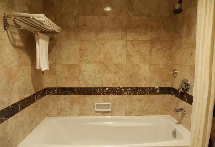 آپارتمان لوکس 1 خوابه, Parkview