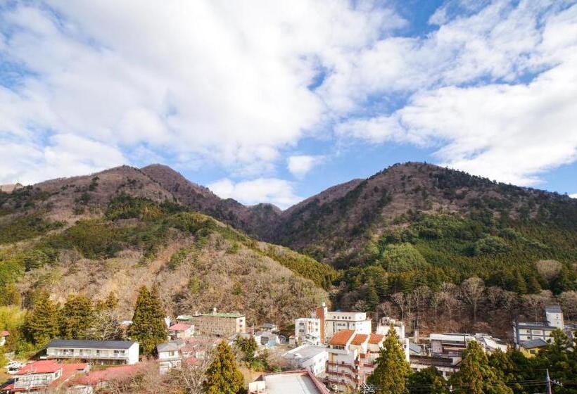 غرفة سوبيريور, Shiobara Onsen Yashio Lodge