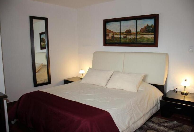 اتاق سوپریور با تخت بزرگ, Casa Lola Hotel Boutique