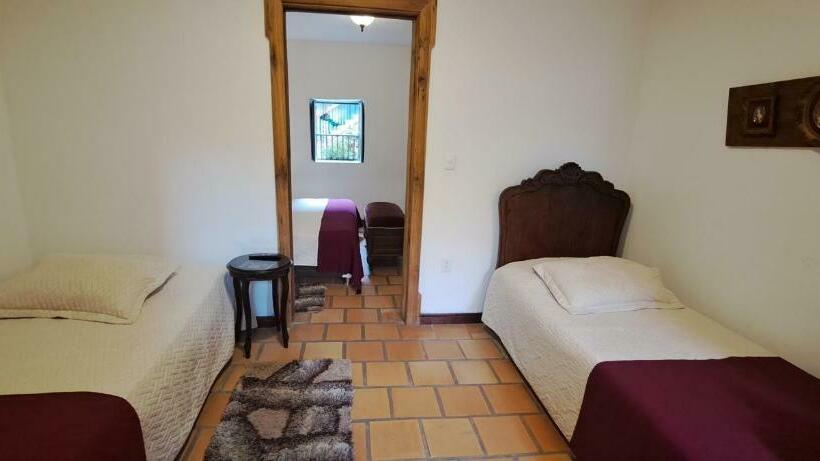 جناح جونيور, Casa Lola Hotel Boutique