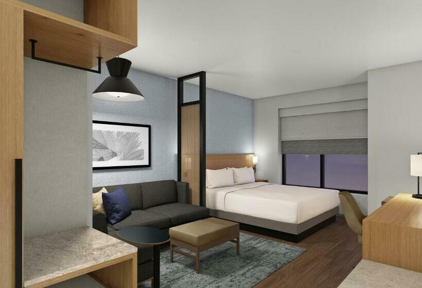 Номер Стандарт Кровать Кинг Адаптированный для Инвалидов, Hyatt Place Boise Meridian