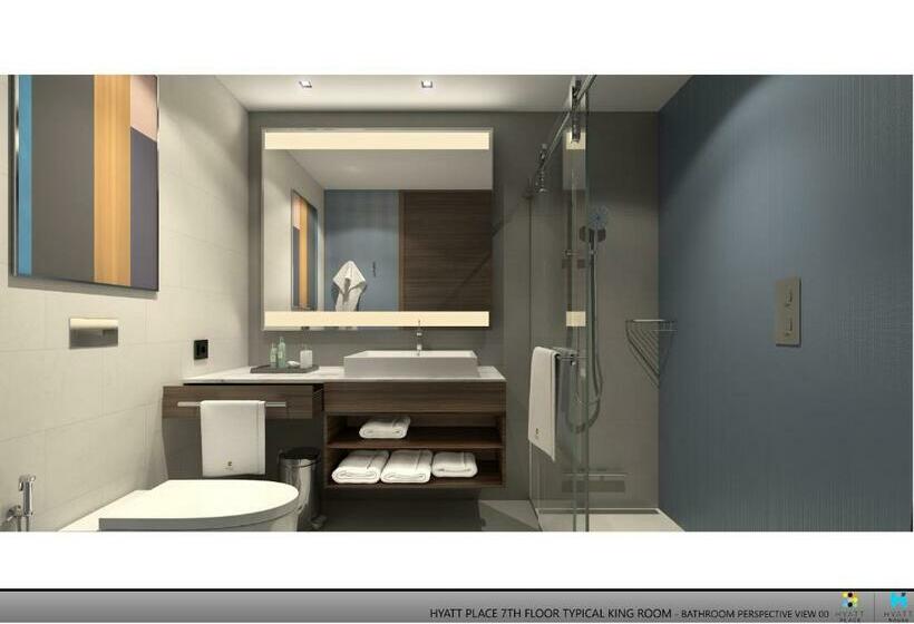 חדר סטנדרט מותאם לאדם עם מוגבלויות, Hyatt Place Boise Meridian