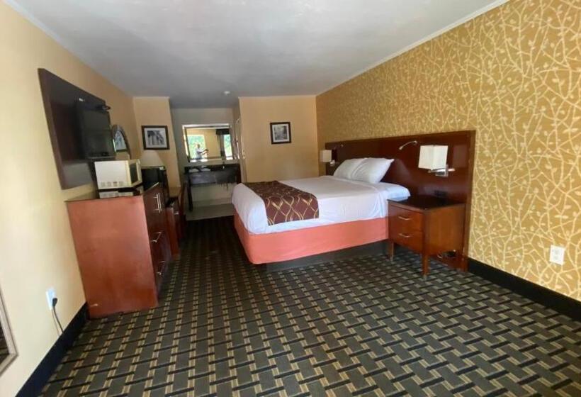 スタンダードシングルルーム, My Home & Suites Toccoa