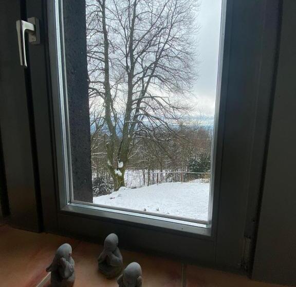 Семейный Номер, Hallgarter Zange