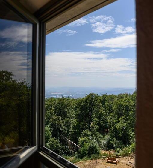 Номер Стандарт, Hallgarter Zange