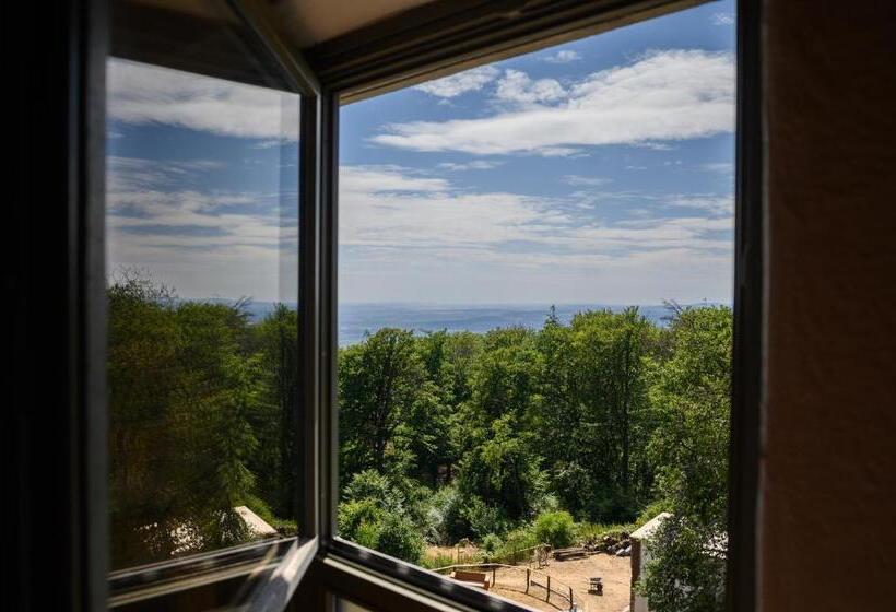 Номер Стандарт, Hallgarter Zange