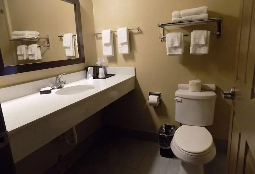 Deluxe-huone, Moulton Inn & Suites