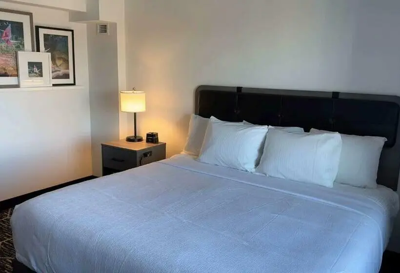 Standard-huone King-vuode, La Quinta By Wyndham Chicago O Hare Airport