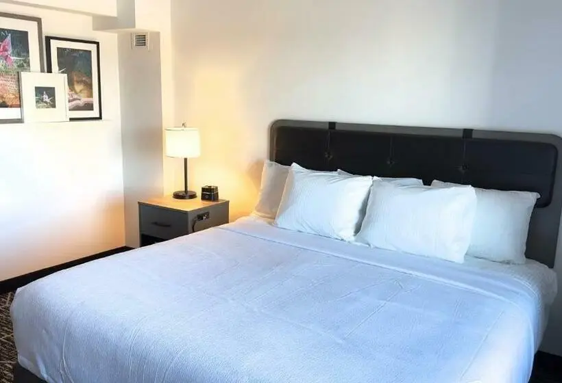 Standard-huone King-vuode, La Quinta By Wyndham Chicago O Hare Airport