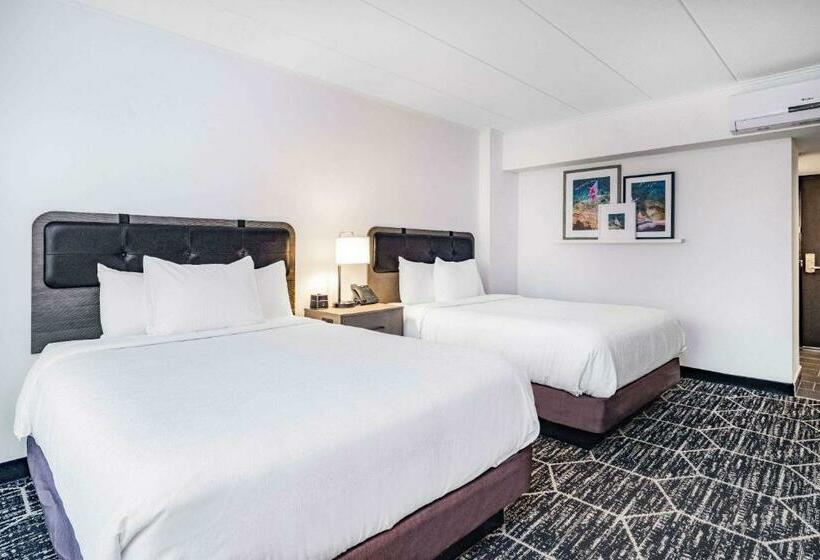 Номер бизнес-класса, La Quinta By Wyndham Chicago O Hare Airport