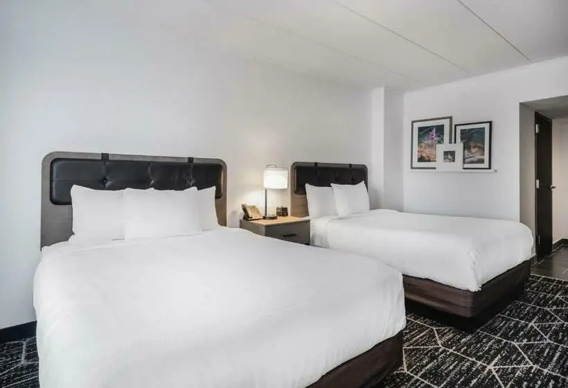 Standard-huone, La Quinta By Wyndham Chicago O Hare Airport