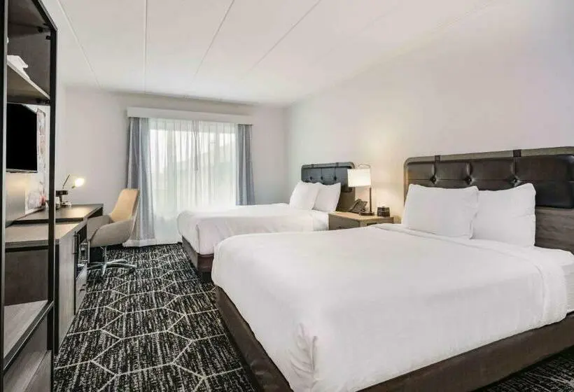 Standard-huone, La Quinta By Wyndham Chicago O Hare Airport