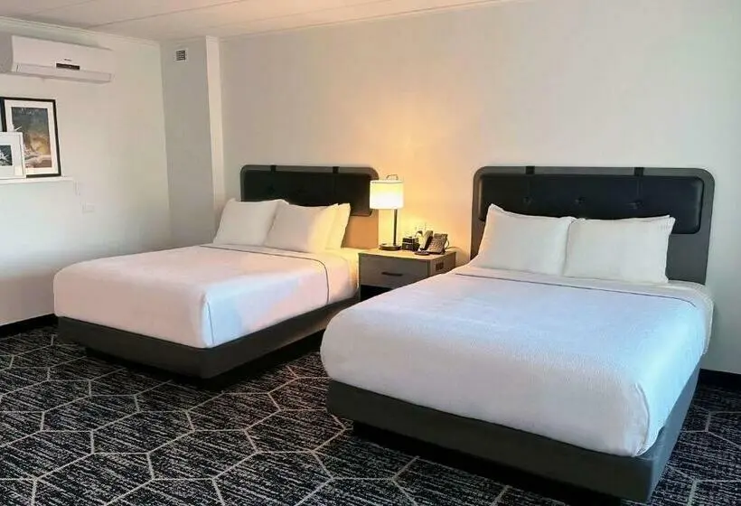 Standard-huone, La Quinta By Wyndham Chicago O Hare Airport