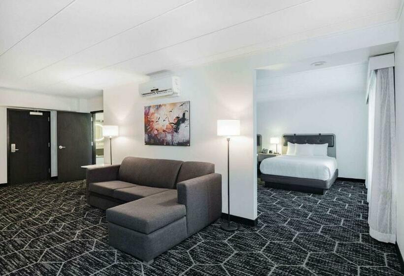 Люкс, La Quinta By Wyndham Chicago O Hare Airport