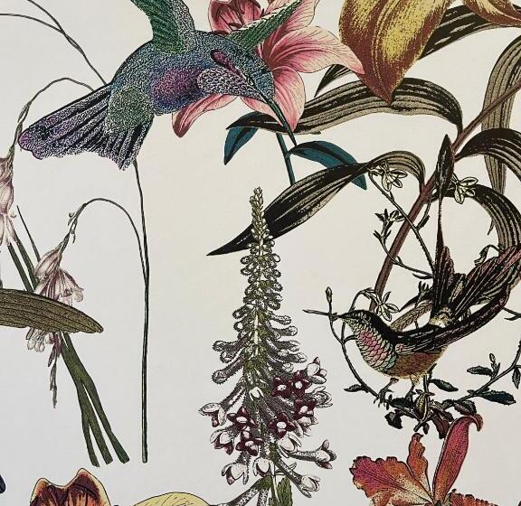 수피리어 룸, Lilyrose