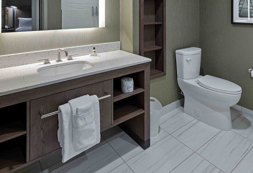 Люкс, Residence Inn By Marriott Atlanta Covington