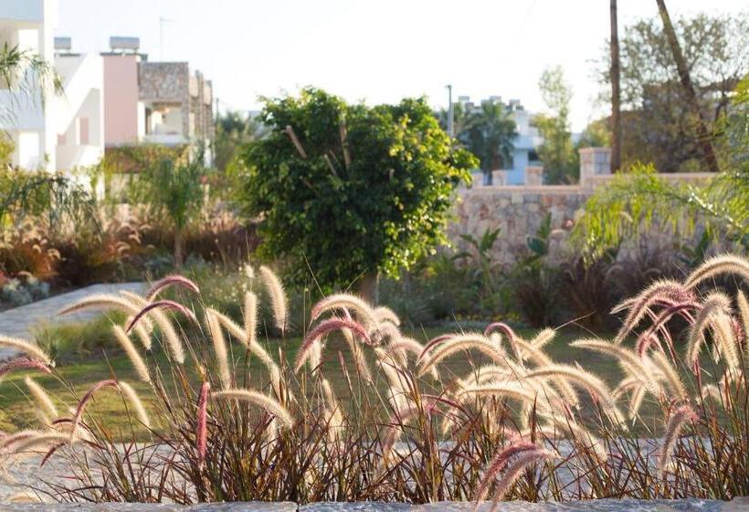 デラックスルーム, Delight Luxury Rooms