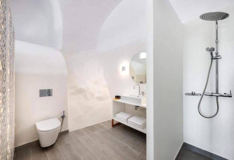 전용 풀장 주니어 스위트, Palm Island Suites