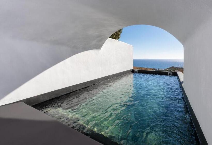 전용 풀장 주니어 스위트, Palm Island Suites