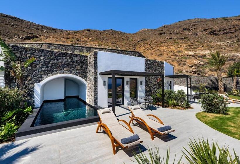 시니어 스위트, Palm Island Suites