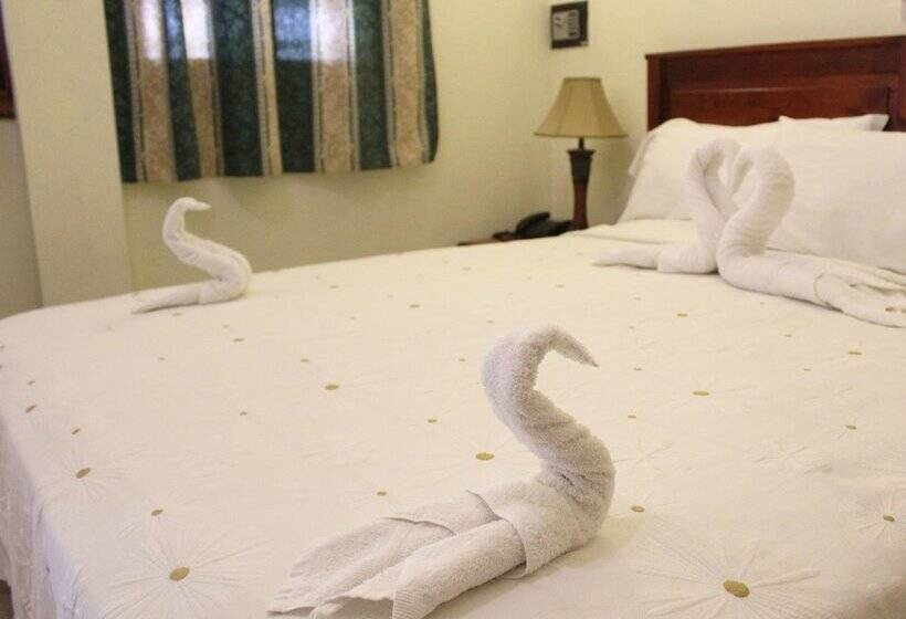 اتاق اکونومی, Aluge