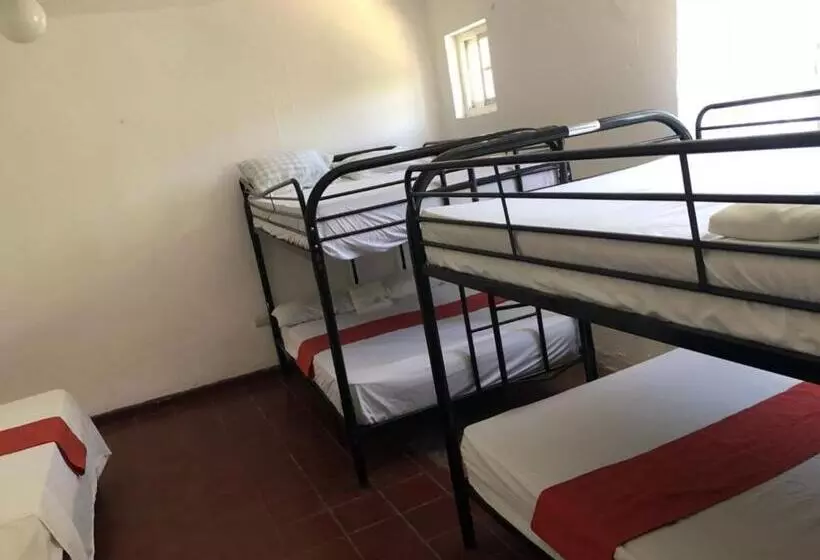 スタンダード４人部屋, Bocachica Beach