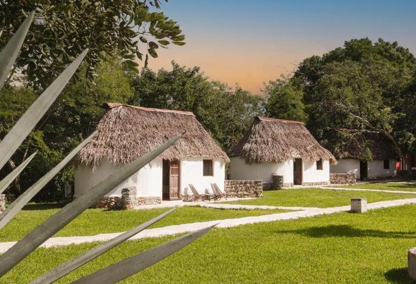 スタンダードルーム, Hacienda Ticum