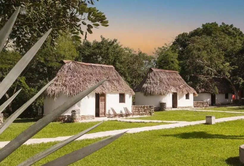 スタンダードルーム, Hacienda Ticum