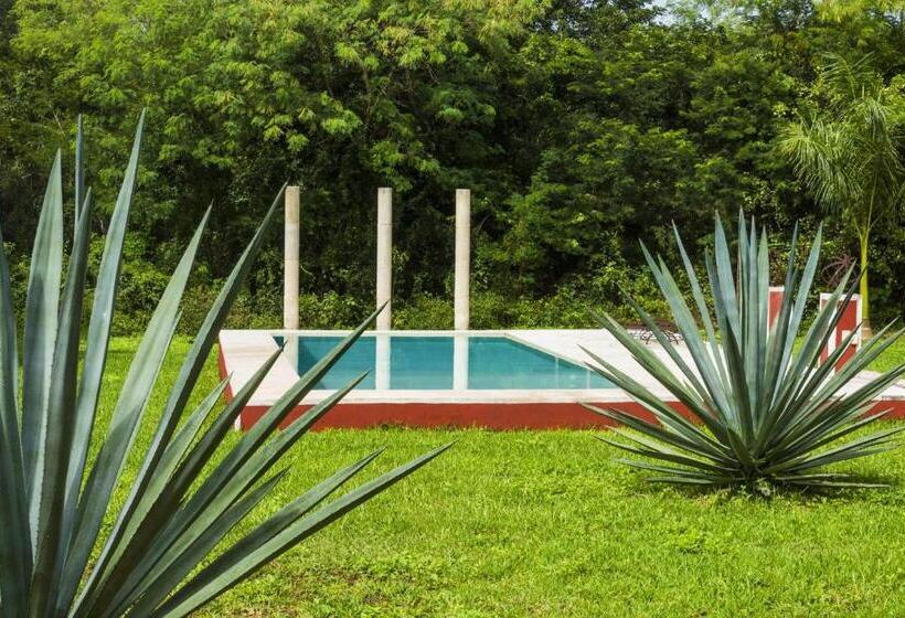 スイート, Hacienda Ticum